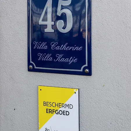 Unieke Catherine Met Frontaal Zeezicht, Parking Sauna En Strandcabine Vila De Panne