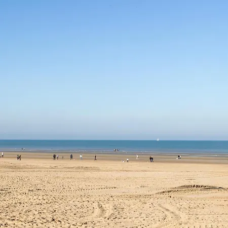 Unieke Catherine Met Frontaal Zeezicht, Parking Sauna En Strandcabine * De Panne