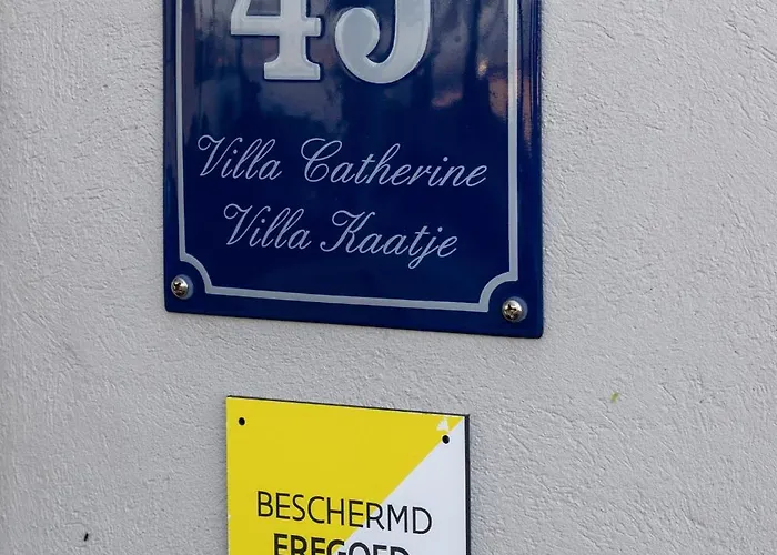 Unieke Catherine Met Frontaal Zeezicht, Parking Sauna En Strandcabine Villa De Panne